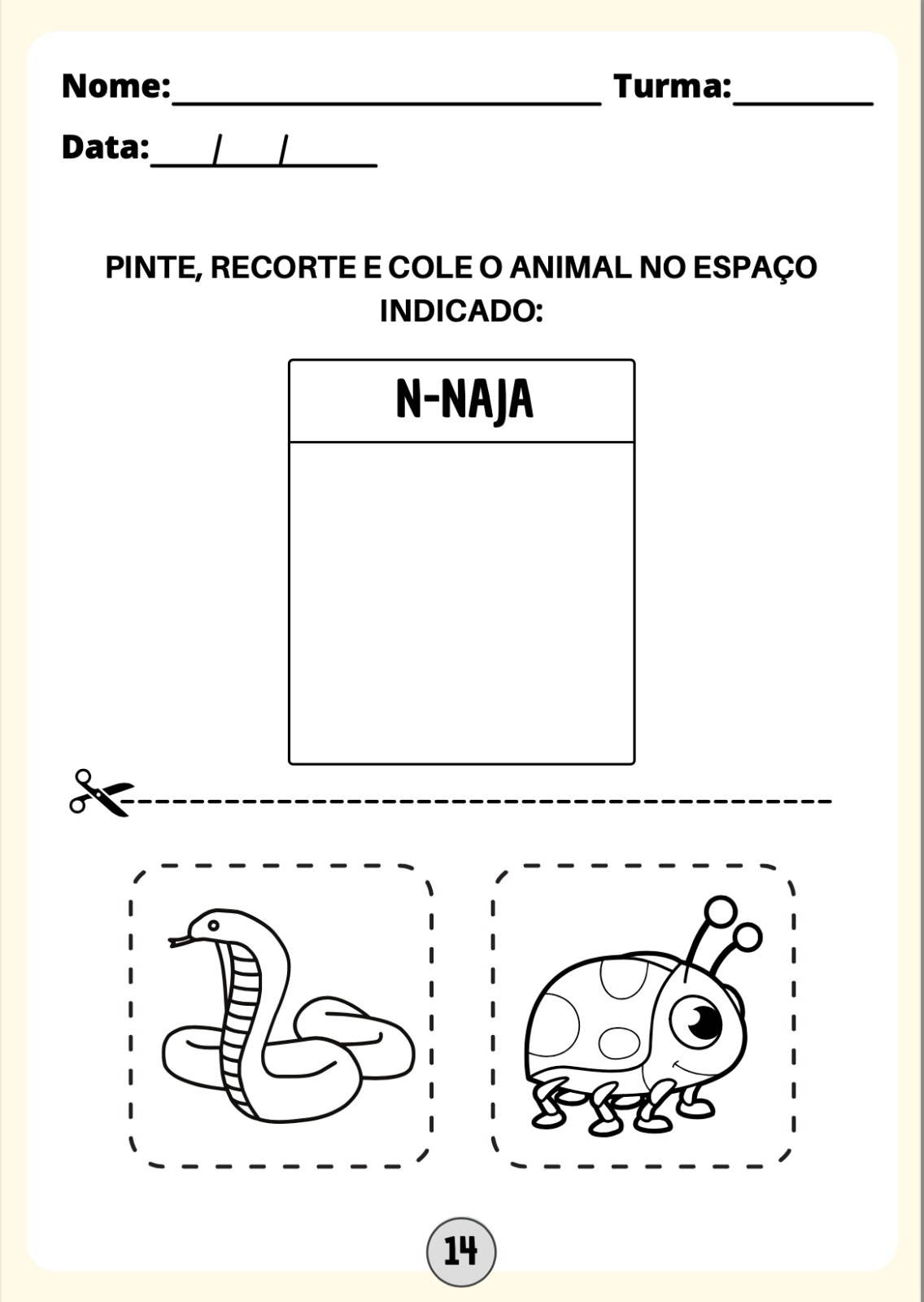 WhatsApp Image 2024-04-18 at 17.14.09